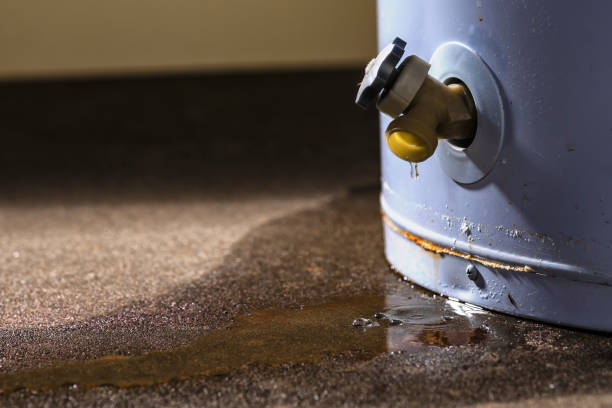 Best Water damage restoration near me  in Bethesda, MD