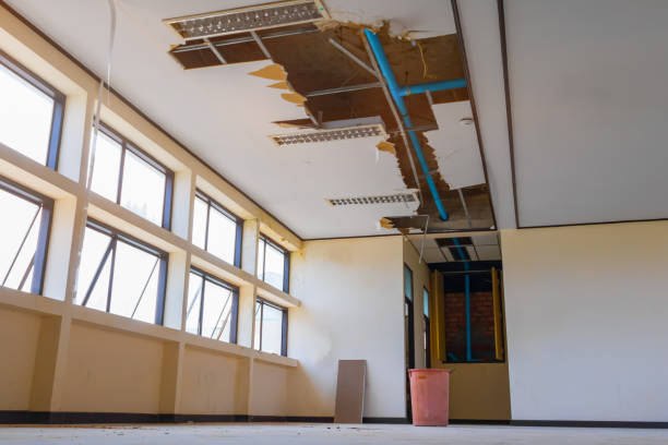 Best Flood damage cleanup  in Bethesda, MD