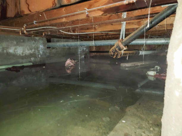 Best 24-hour water damage restoration  in Bethesda, MD