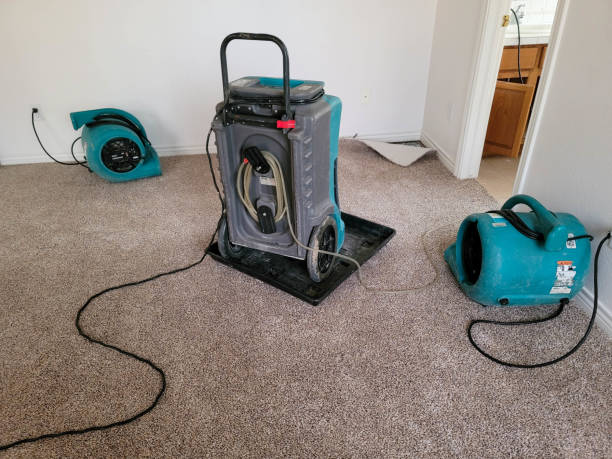 Best Professional water damage repair  in Bethesda, MD