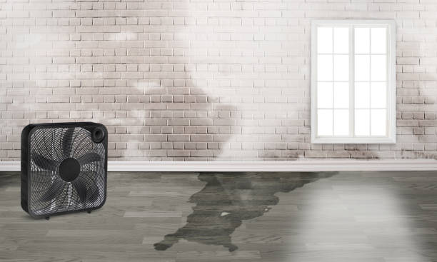 Best Flood restoration services  in Bethesda, MD