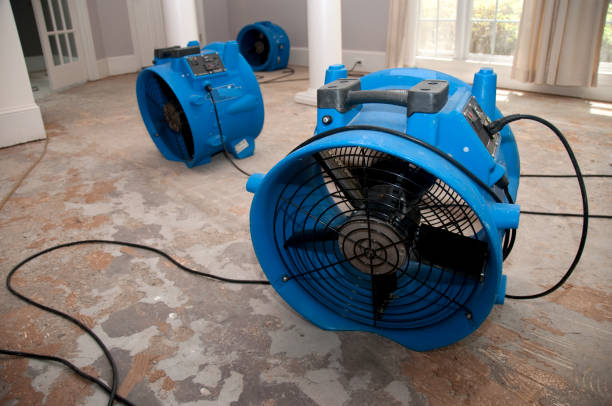Best 24-hour water damage restoration  in Bethesda, MD