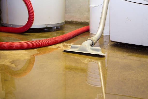 Best Basement water damage restoration  in Bethesda, MD