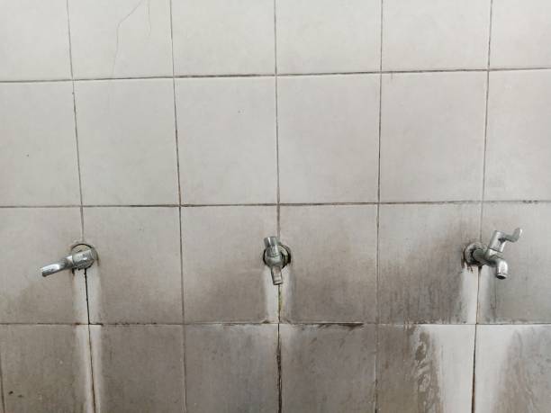 Best Water damage restoration cost  in Bethesda, MD