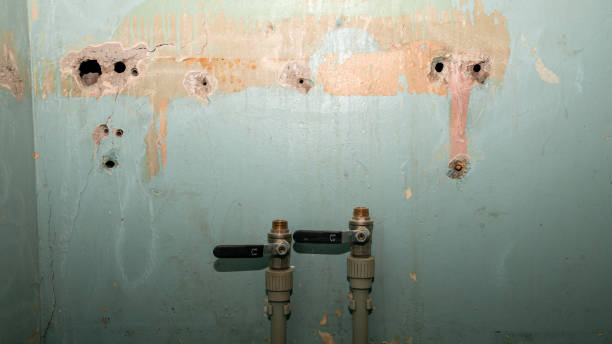 Best Water damage restoration near me  in Bethesda, MD