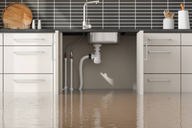 Best Flooded house restoration  in Bethesda, MD
