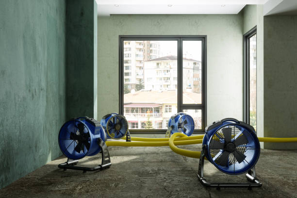 Best Ceiling water damage repair  in Bethesda, MD