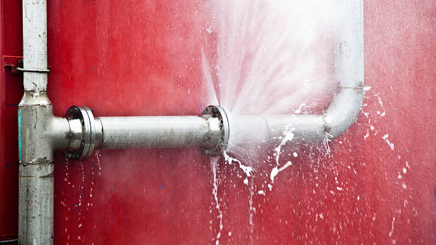 Best Carpet water damage restoration  in Bethesda, MD